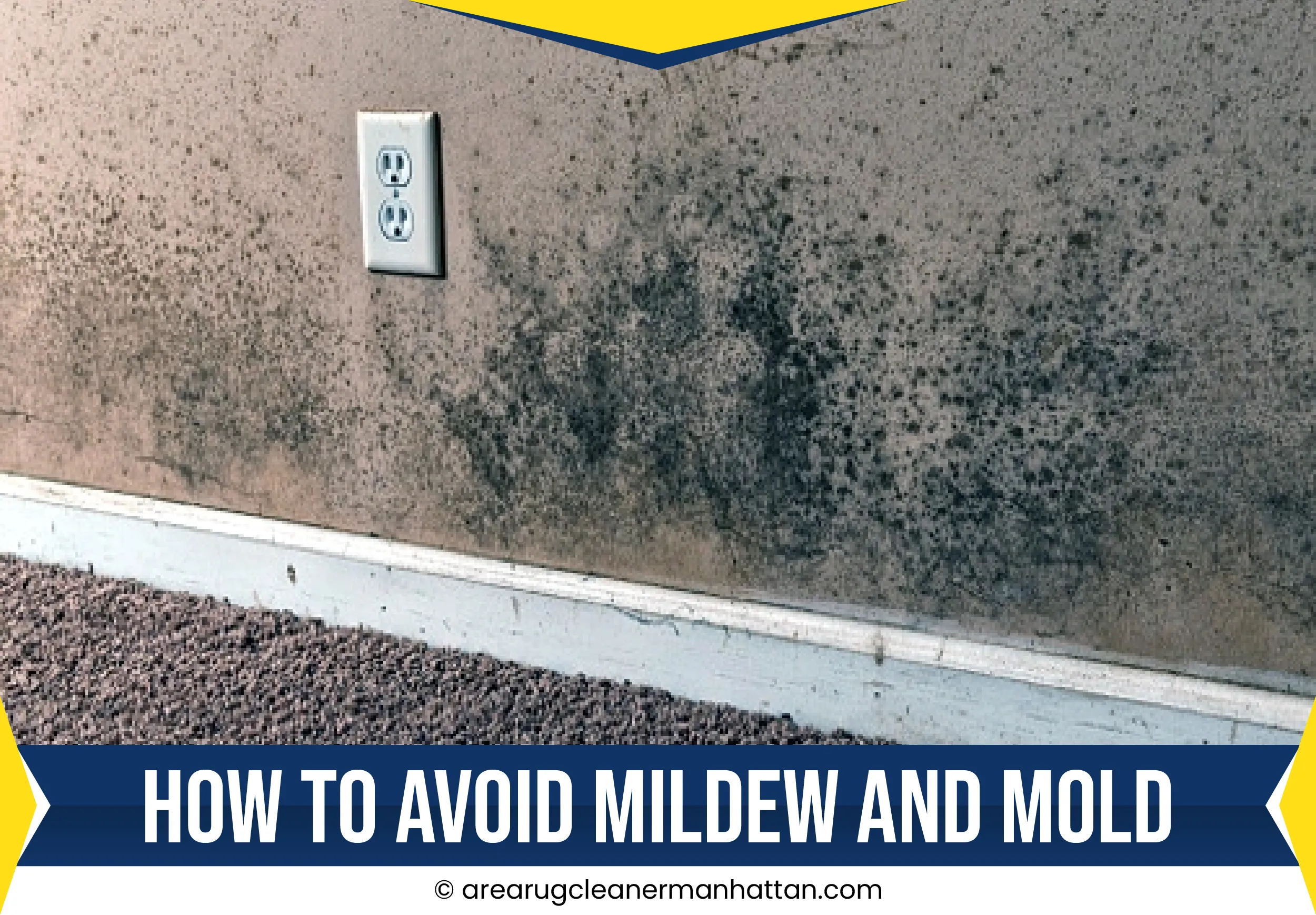 carpet cleaning in manhattan, carpet cleaning manhattan, carpet cleaners in manhattan, carpet cleaners in manhattan, commercial carpet cleaning, commercial carpet cleaning in manhattan, manhattan rug cleaners, rug cleaning services in manhattan, same day carpet cleaning, same day rug cleaning in manhattan