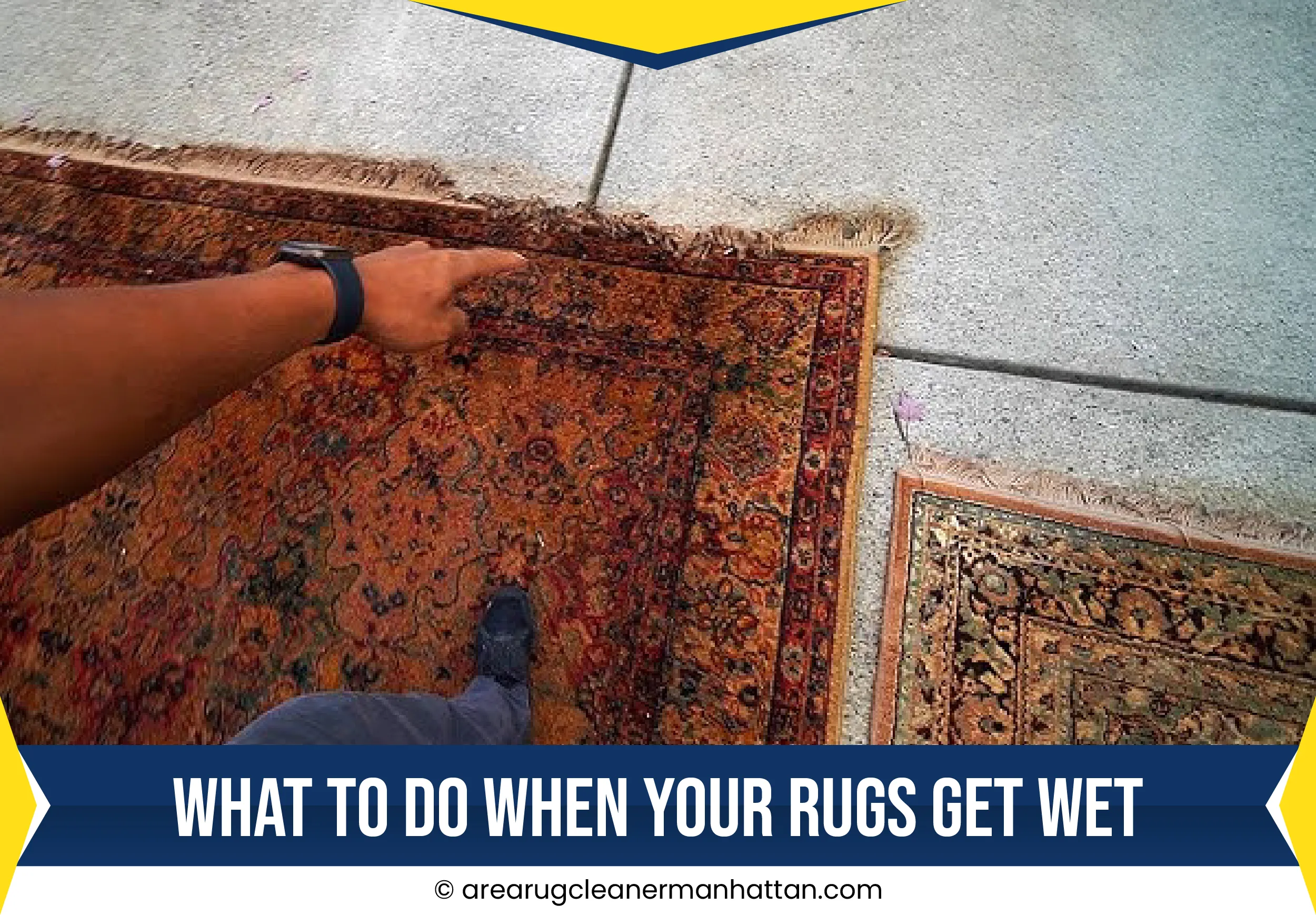 carpet cleaning in manhattan, carpet cleaning manhattan, carpet cleaners in manhattan, carpet cleaners in manhattan, commercial carpet cleaning, commercial carpet cleaning in manhattan, manhattan rug cleaners, rug cleaning services in manhattan, same day carpet cleaning, same day rug cleaning in manhattan