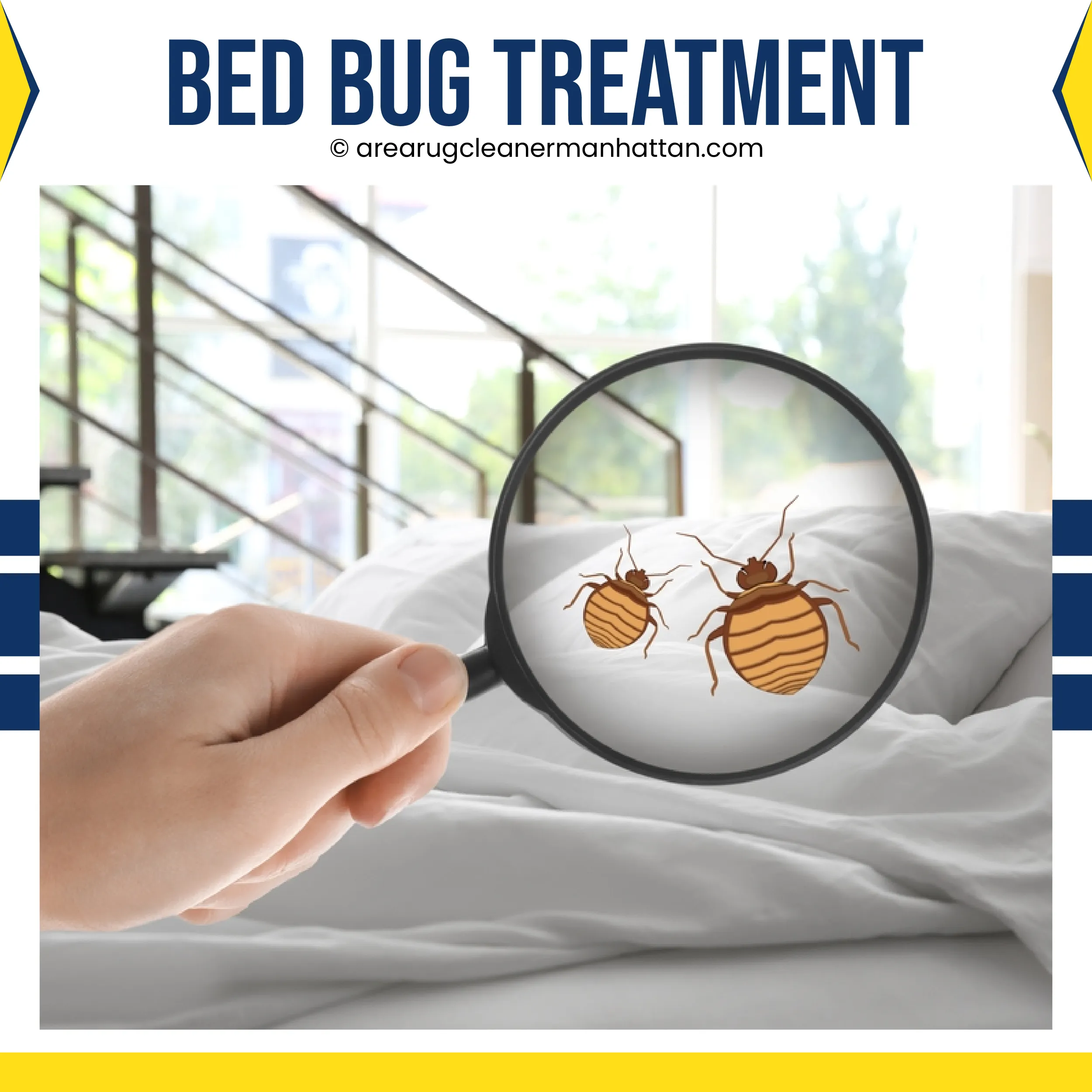 carpet cleaning in manhattan, carpet cleaning manhattan, carpet cleaners in manhattan, carpet cleaners in manhattan, commercial carpet cleaning, commercial carpet cleaning in manhattan, manhattan rug cleaners, rug cleaning services in manhattan, same day carpet cleaning, same day rug cleaning in manhattan